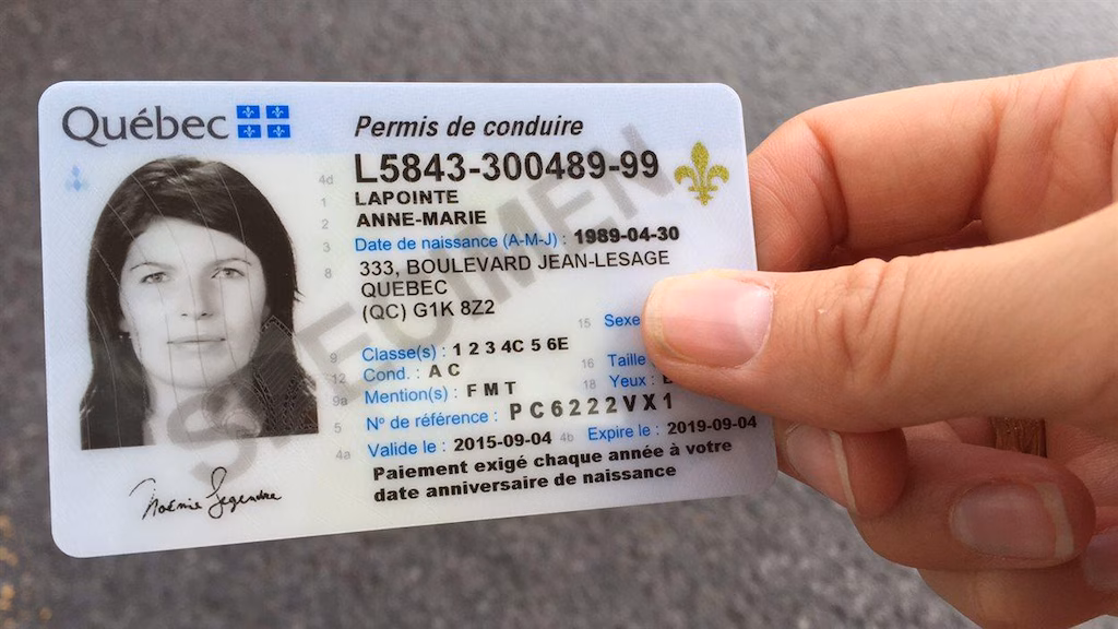 Buy Quebec Driver's license , Permis De conduire Quebecois A Vendre , Quebec Driver's license For Sale